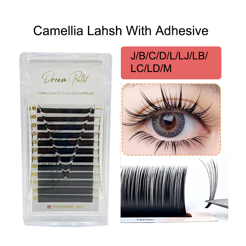dream ballet Camellia Lashes w - Eyelash Extension Double Lash review and price