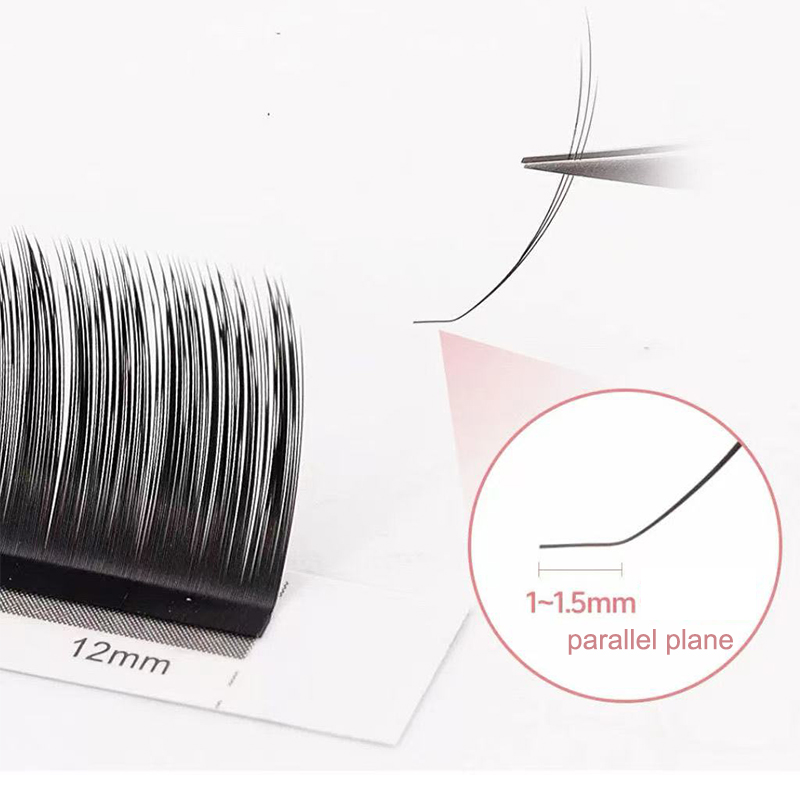 dream ballet Camellia Lashes w - Eyelash Extension Double Lash review and price